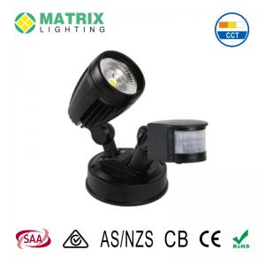 LED Security Light